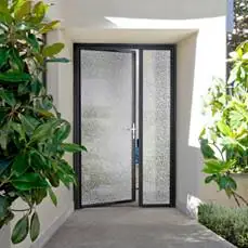 Portes d'entrées entièrement vitrées en ALU