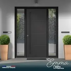 Portes d'entrées pleines en ALU